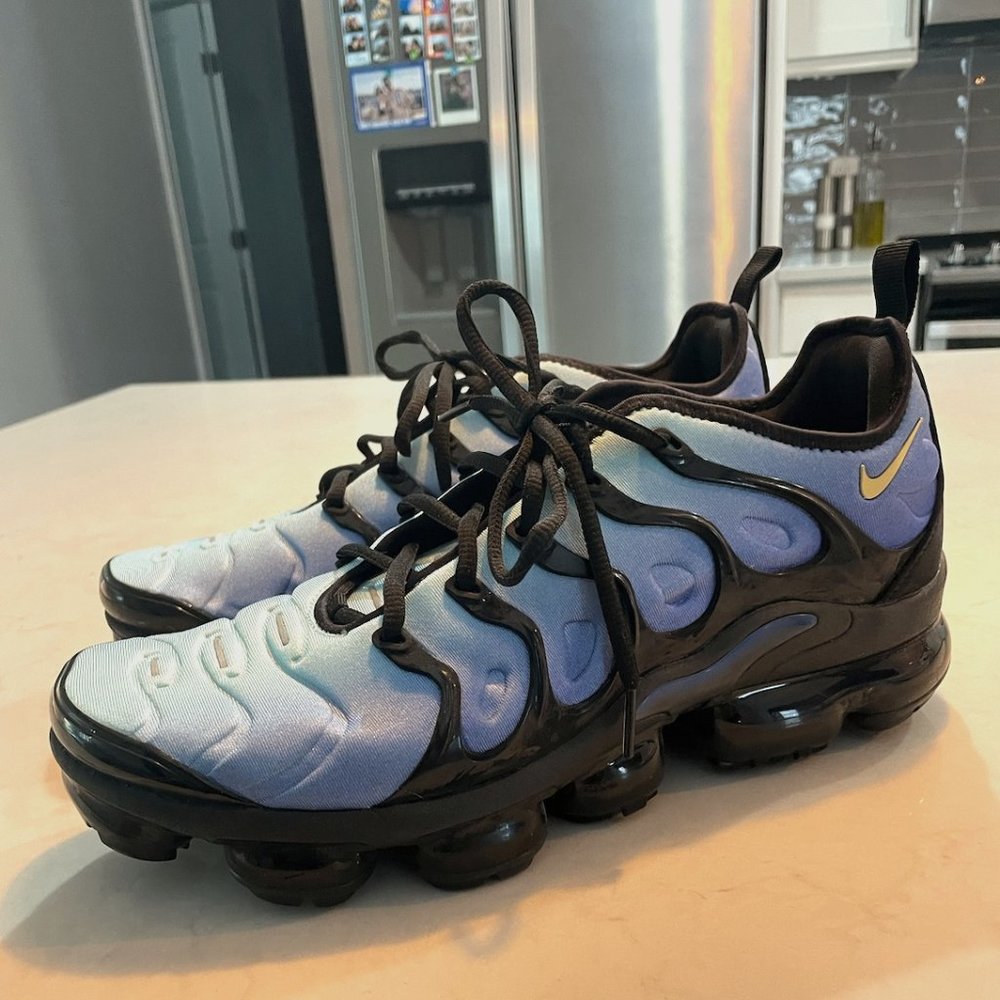 Nike Vapor Max Plus (Size 11M)
